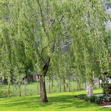 B&B Ai Colli Dro Luaran gambar
